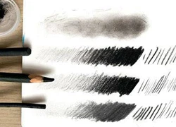Charcoal Sticks