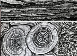 Modern Relief Printmaking